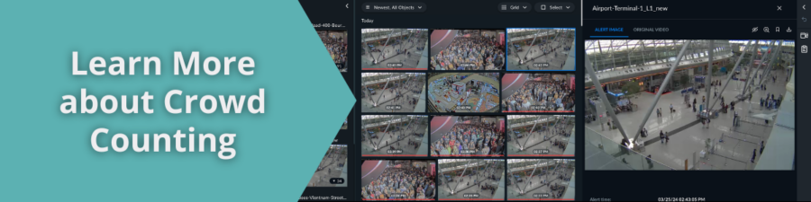 briefcam-crowd-counting